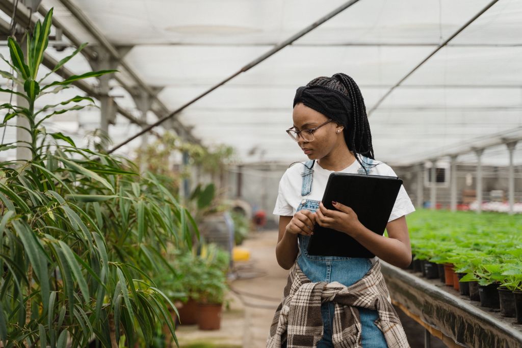 While MSU Greenhouse Updates Spark Innovative Research, Needs Remain